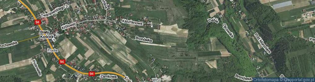 Zdjęcie satelitarne Bronówka ul.